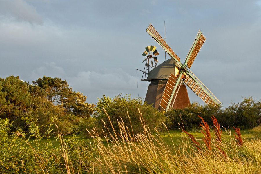 Ausflug vom Ferienhaus Nordstern an der Nordsee zu den Nordfriesische Inseln – Hallig Langeneß Ausflug vom Ferienhaus Nordstern an der Nordsee zu den Nordfriesische Inseln – Amrum Windmühle